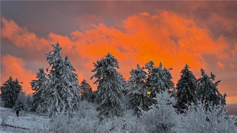 Das Licht der untergehenden Sonne beleuchtet die Wolken, die hinter den schneebedeckten Bäumen auf dem Feldbergplateau untergeht.