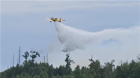 Das Löschflugzeug "Hexe 1" hilft im Juni dieses Jahres, ein Feuer zwischen Steinberg und Granetalsperre zu löschen.