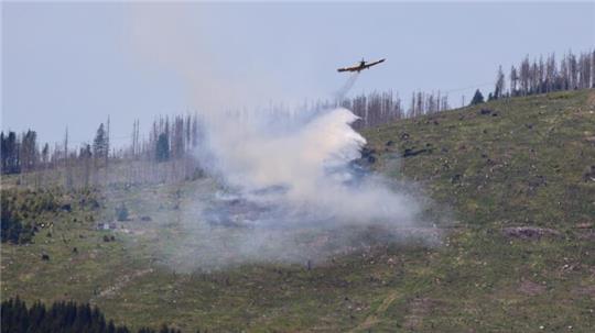 Das Löschflugzeug des Landkreises Harz am Mittwochmittag bei einem Einsatz am Kleinen Winterberg bei Schierke, unweit der Landesgrenze zu Niedersachsen.