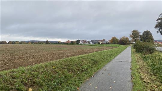 Eine Freifläche neben der ein Weg verläuft