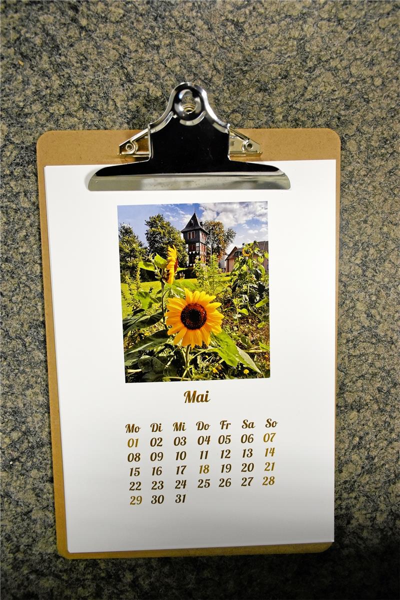 Benefiz-Fotokalender: Für alle, die Goslar im Herzen haben Das Mai-Motiv wird von der Sonnenblume dominiert; im Hintergrund der Feuerwehrturm. Foto: Miemczyk/Repro: Kempfer
