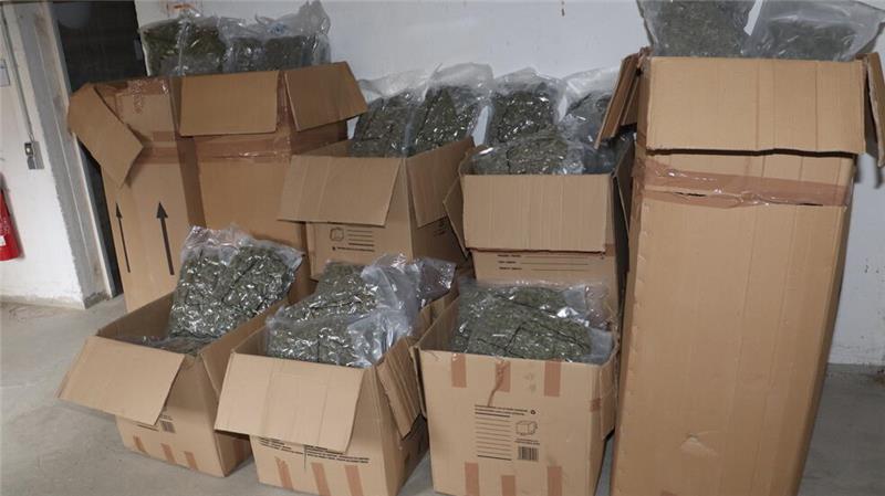 Zoll stoppt Drogenschmuggel auf der A7 – Fahrer in U-Haft Das Marihuana wurde für den Transport vakuumiert und in Kartons gepackt.