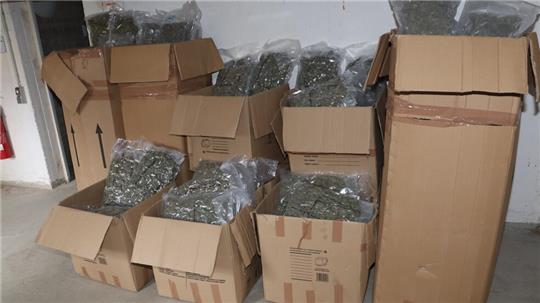 Das Marihuana wurde für den Transport vakuumiert und in Kartons gepackt. 