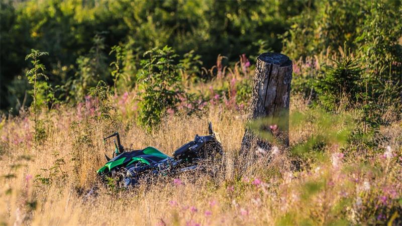 Motorrad liegt auf der Seite in hohem Gras neben einem Baumstumpf in einer grünen, bewachsenen Landschaft