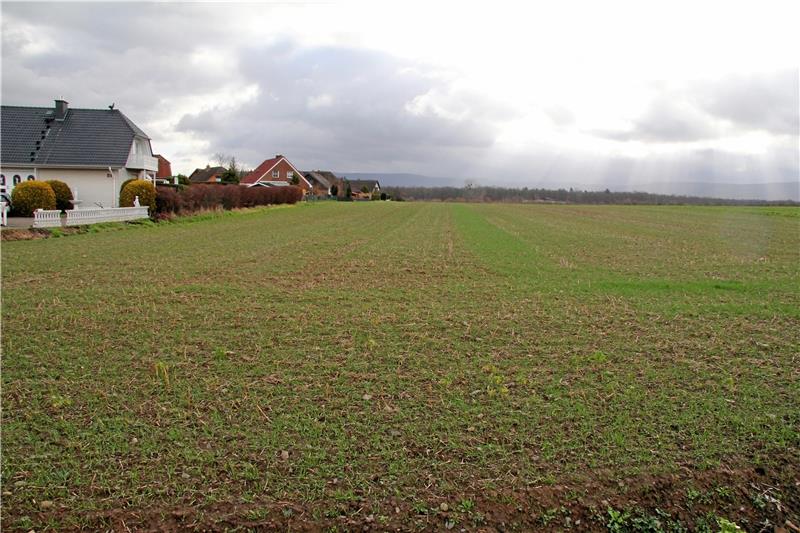 Das Neubaugebiet Liethberg in Vienenburg: Die Nachfrage nach Bauland steigt in der Region deutlich. Für das Jahr 2018 hat das Katasteramt im Landkreis Goslar 156 Verträge registriert, 2019 waren es sogar 239.  Foto: Archiv
