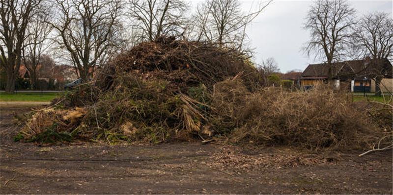 Große Kompost- oder Grünschnittmiete auf einem offenen, unbefestigten Platz mit kahlen Bäumen im Hintergrund und Häusern am Rand