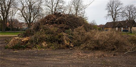 Große Kompost- oder Grünschnittmiete auf einem offenen, unbefestigten Platz mit kahlen Bäumen im Hintergrund und Häusern am Rand