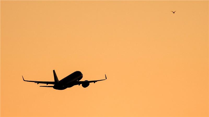 Das Paar soll sich auf dem Flug zwischen Panama und Argentinien kennengelernt haben. (Symbolbild) 