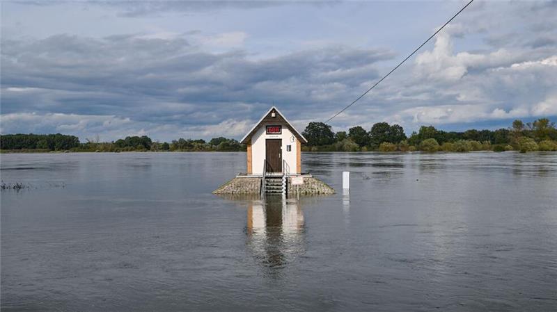 Hochwasser hält Oder-Regionen in Alarmbereitschaft Das Pegelhäuschen bei Ratzdorf an der Oder ist von Wassermassen umgeben.