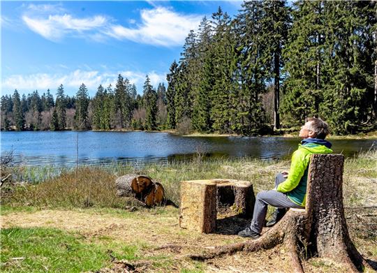 Das Rehazentrum Oberharz liegt idyllisch am Schwarzenbacher Teich. Der Wald bietet sich daher gut für Naturmeditationen an. Solche Ausflüge in die frische Luft finden sich immer wieder im Therapieplan der Rehapatienten. Foto: Rehazentrum