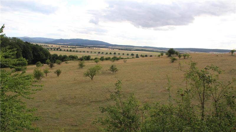 Pflege, Jagd und Jägerlatein: Rundgang durch das Heißumer Jagdrevier Das Revier des Heißumer Jagdpächters erstreckt sich vom Hirschberg, über die Kreisstraße 2 hinweg bis zum Rübenschnellweg.