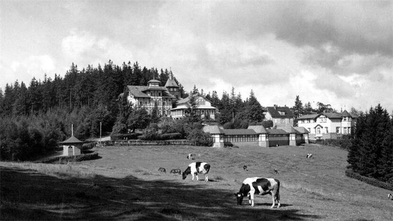 Landschaft mit Weide, auf der Kühe grasen, im Hintergrund Wald und mehrere große Gebäude auf einem Hügel