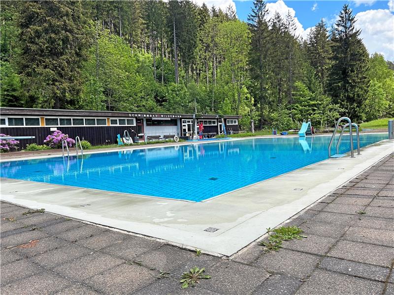 Das Spiegelbad Wildemann startet am Samstag in die Saison Das Schwimmerbecken wartet schon auf die ersten Besucher am Samstag. Foto: Privat