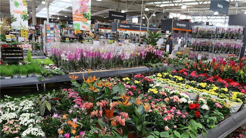 Blick auf Verkaufsstände mit einer großen Auswahl an bunten Blumen und Pflanzen in einem hellen Gartencenter