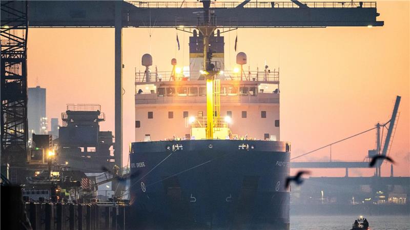 Castor-Transport soll nach Bayern rollen Das Spezialschiff „Pacific Grebe“ mit sieben Castor-Behältern an Bord legt in der Morgendämmerung im Hafen an.