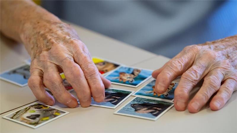 Erste Alzheimer-Therapie in EU zur Zulassung empfohlen Das Spielen von Memory soll gegen den Gehirnabbau wirken.