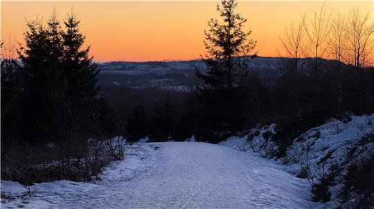 Das Symbolbild zeigt einen Waldweg am Wurmberg in der Dämmerung.