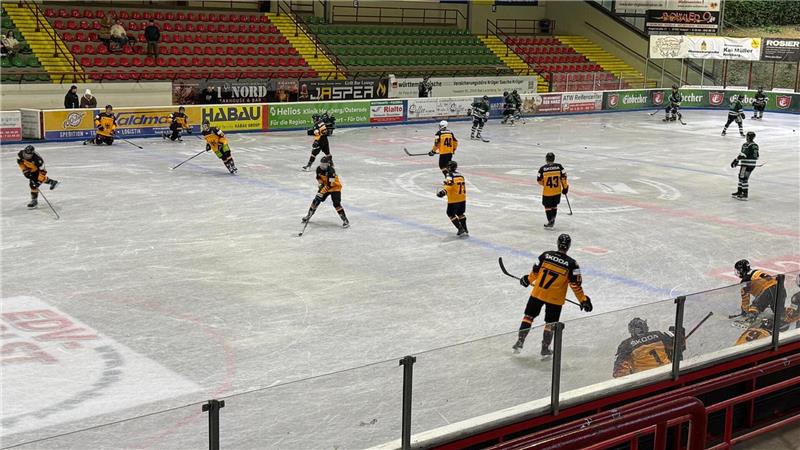 Das Team Germany verliert am Dienstagabend das Testspiel vor wenigen Zuschauern gegen die Salzgitter Eisfighters mit 4:8.
