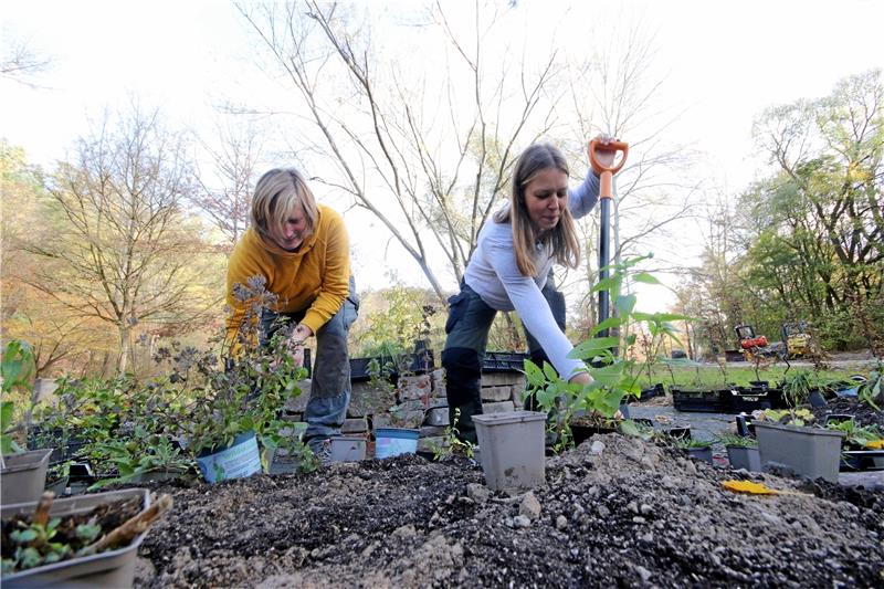 Auszubildende bauen Therapie-Garten für Landesgartenschau 2023 Das Team um Noreen Hiery (re.) bepflanzt den Themengarten zu Biodiversität, den ebenfalls die angehenden Garten- und Landschaftsbauer angelegt haben.