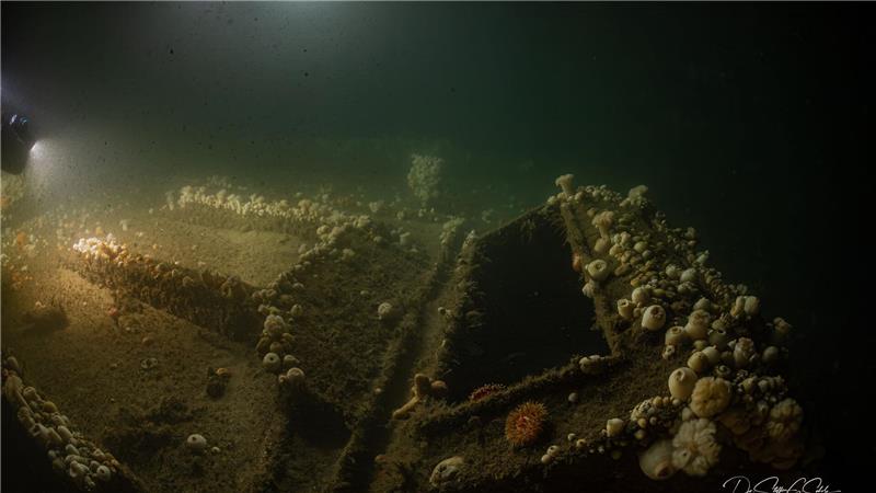 Von deutschem U-Boot versenkt: Forscher tauchen zu Wrack Das Team von „ProjectXplore“ hat es sich zum Ziel gesetzt, historisch bedeutsame Schiffswracks zu finden.