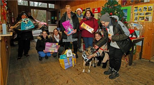 Das Tierheim in Goslar erhält in diesem Jahr Spenden von 12.300 Euro, Heiligabend ist Bescherung. Foto: Epping