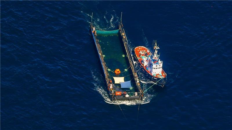 Das Transportschiff mit dem Wal ist seit mehreren Tagen unterwegs.