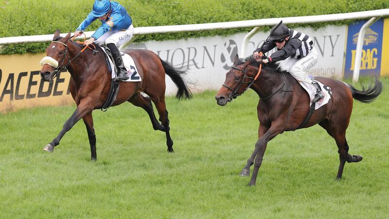 Das Turf-Syndikat Liberty Racing 2022 ist im Deutschen Derby am Sonntag mit dem dreijährigen Hengst Palladium (hier unter Thore Hammer-Hansen bei seinem Sieg in Düsseldorf) vertreten.