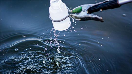 Das Umweltamt und das Amt für Veterinärwesen und Lebensmittelkontrolle des Landkreises Harz haben Proben des Wassers und der Fische genommen. (Symbolbild)