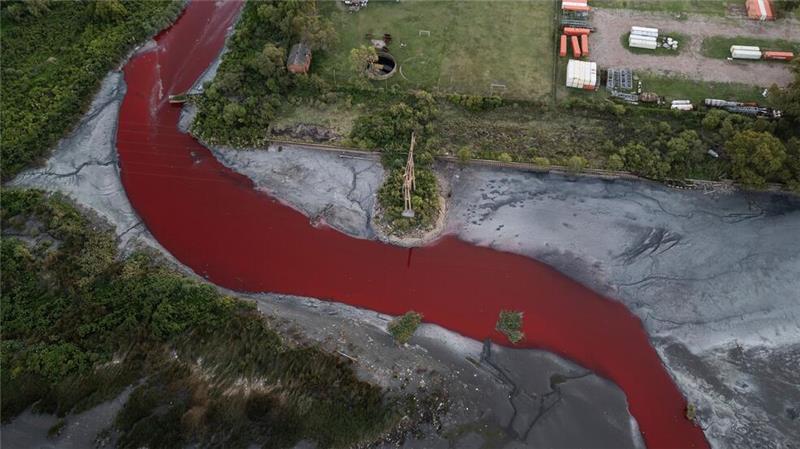 „Fluss aus Blut“: Bach in Argentinien färbt sich rot Das Umweltministerium der Provinz Buenos Aires entnahm Wasserproben zur chemischen Analyse.