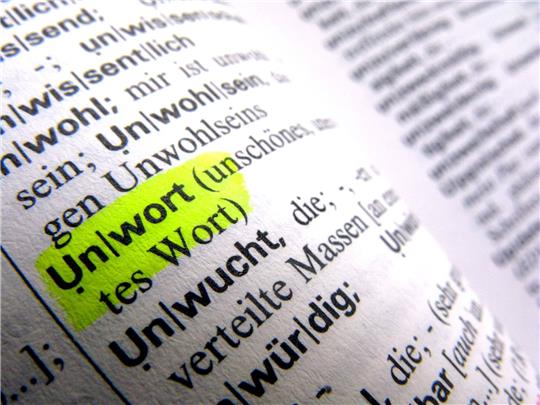 Das «Unwort des Jahres» wird im Januar in Darmstadt gekürt.
