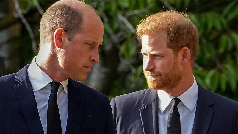 Medien: Prinz Harry und Meghan sind zurück in Großbritannien Das Verhältnis Harrys zu seinem Bruder William soll zerrüttet sein. (Archivbild)