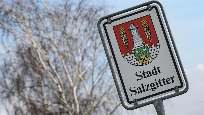 Das Wappen der für ihren Stahl bekannten Stadt Salzgitter. (Archivbild) 