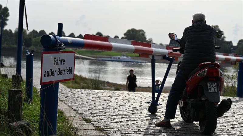 Folgen des Niedrigwassers: Rheinfähre meldet Kurzarbeit an Das Warten auf die Fähre ist vergeblich: Ein Motorroller-Fahrer blickt einige Minuten auf den Rhein, dann kehrt er um und fährt davon. (Archivbild)