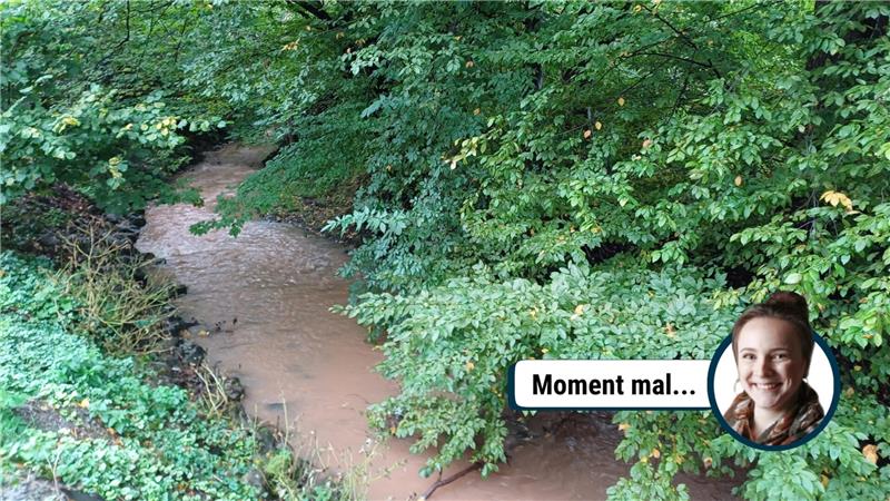 Hochwasserschutz in Neuwallmoden: Napoleon-Komplex mit Baurecht Das Wasser der Neile tritt bei Starkregen regelmäßig über die Ufergrenzen. Eine Aufweitung soll die Neuwallmodener schützen.