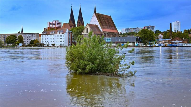 Trotz fallender Pegel: Hochwasserlage angespannt Das Wasser der Oder steht noch sehr hoch in Frankfurt.