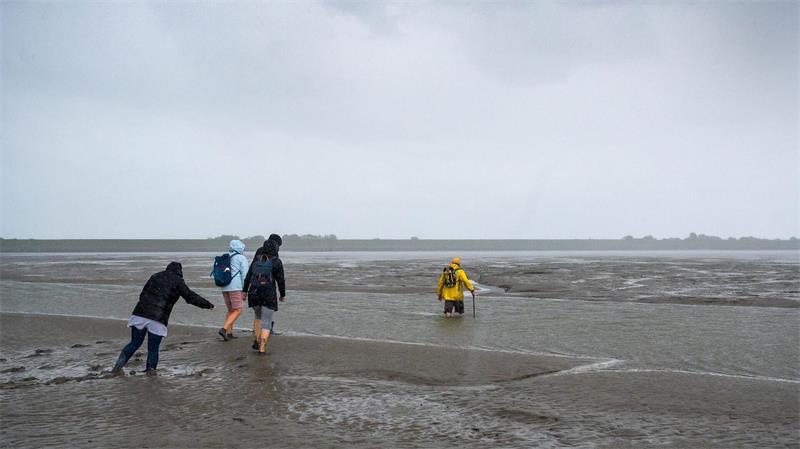 Das Wattenmeer ist durchzogen von Wasserläufen. Nicht überall sind Priele zu durchqueren. (Archivbild)
