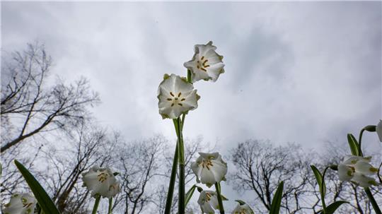 Das Wetter in Deutschland zeigt sich in den kommenden Tagen von seiner ungemütlichen Seite. (Symbolbild)