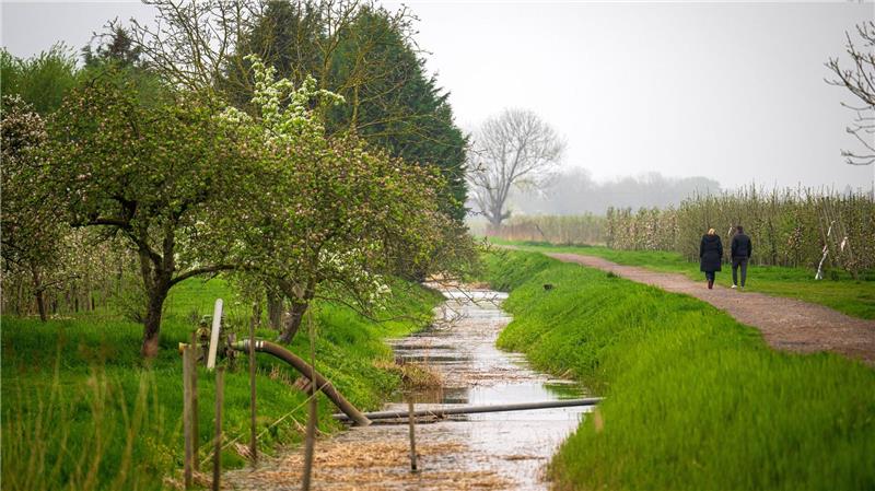Das Wetter wird am Sonntag und zum Wochenstart kälter, regnerisch und vereinzelt sogar gewittrig. (Symbolbild)