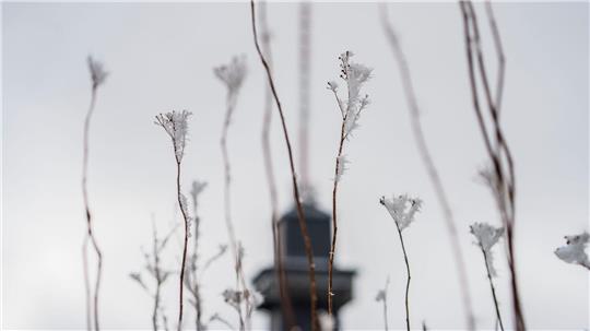 Das Wetter zum Wochenende wird wechselhaft.