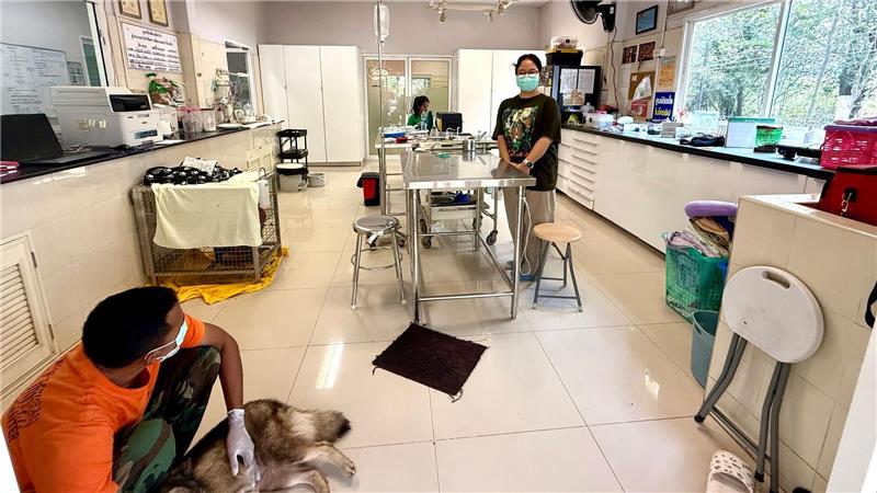 Das Wildlife Hospital von WFFT war die erste Wildtierklinik in Thailand - bis heute ist sie die modernste.