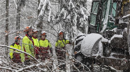 Das Winterwetter bestimmt das Tempo bei den Waldpflegearbeiten rund um Bad Harzburg. Die Landesforsten beseitigen aktuell Gefahrenbäume in beliebten Naherholungsgebieten rund um die Kurstadt.