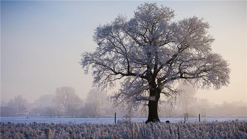 Das Winterwetter brachte vielerorts im Nordwesten klirrende Kälte. 