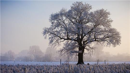 Das Winterwetter brachte vielerorts im Nordwesten klirrende Kälte. 