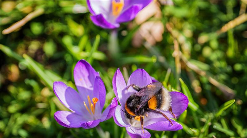 Das Wochenende bringt milde Temperaturen und viel Sonnenschein.
