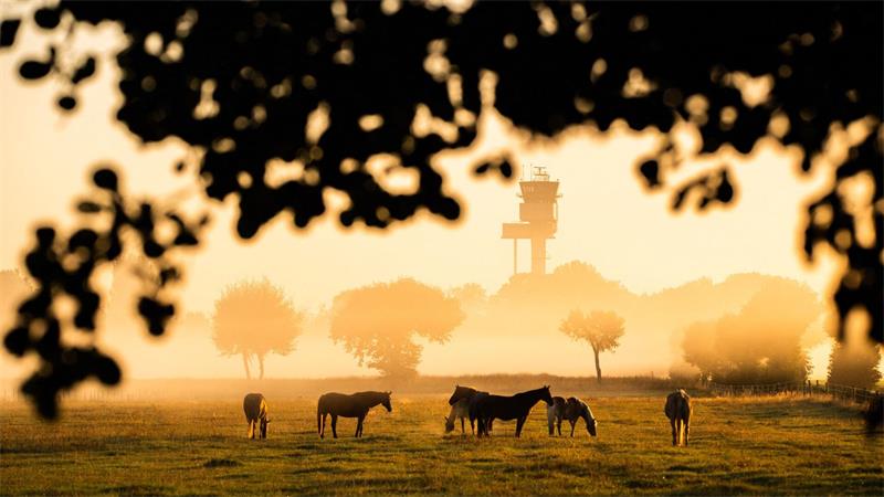 Das Wochenende verspricht Sonne und steigende Temperaturen. (Foto aktuell)