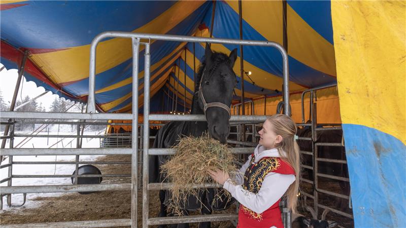 Schneefall: So geht es den Zirkustieren an der Harzburger Rennbahn Das Zirkus-Team stattet seine Pferde mit Zelten und Decken aus, damit sie nicht frieren.