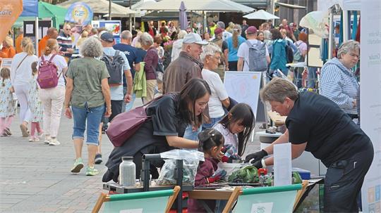 Ein bunter Markt mit Ständen und Schirmen und Menschen.