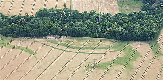 Luftbild von einem Wäldchen, in einem reifen Getreidefeld sind Ringstrukturen zu erkennen, auf denen das Korn noch nicht reif ist.