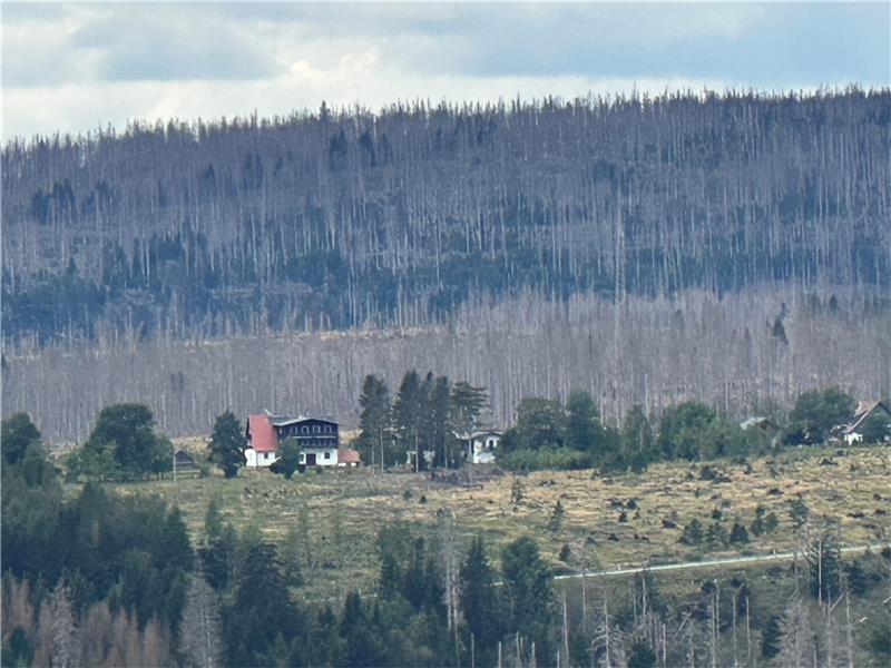 Das ehemalige Herbert-Balke-Schullandheim vom Wurmberg aus gesehen: Auf dem Gelände soll ein Feriendorf mit acht Häuser und einem Hotel entstehen. Die Straße im Vordergrund ist die B 4 zwischen Braunlage und Bad Harzburg. Foto: Eggers