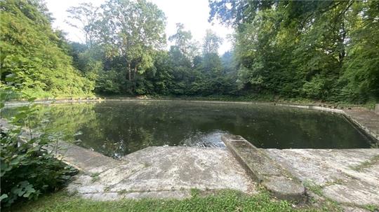 Das ehemalige Seesener Freibad „Reddekolk“ ist seit mehr als 50 Jahren geschlossen und wird vom Angelverein in Schuss gehalten.